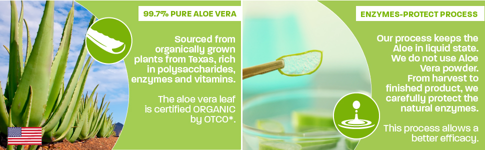 99.7% Pure Aloe Vera and Enzymes Protect Process Plants From Texas